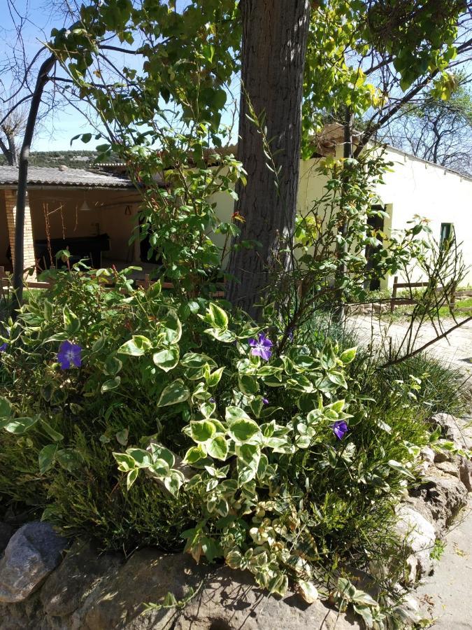 Camping Yaso-Guara Exterior photo